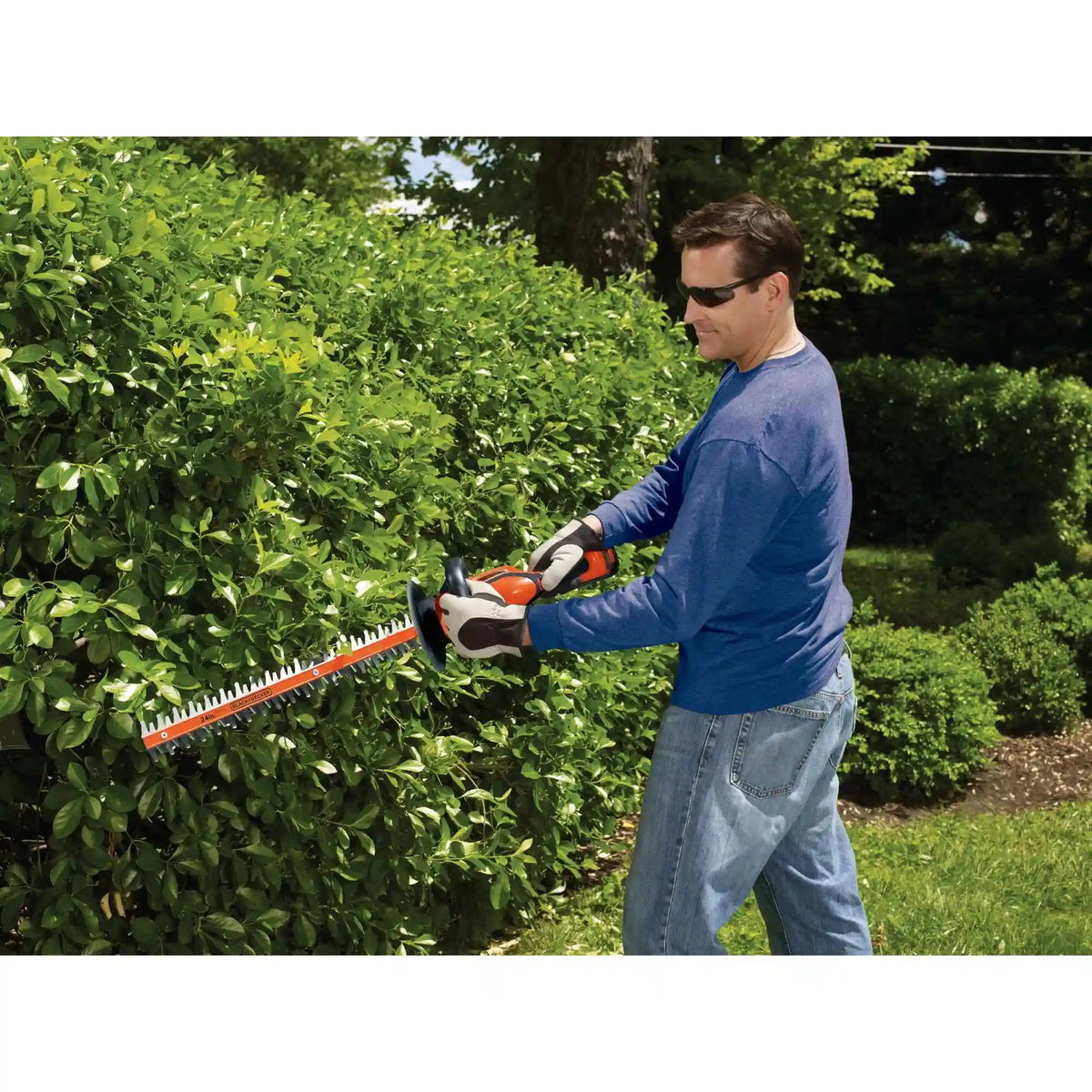 40V MAX* Cordless 24 Inch Hedge Trimmer, Battery and Charger Included